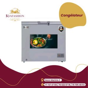 Congelateur vertical gris Electron