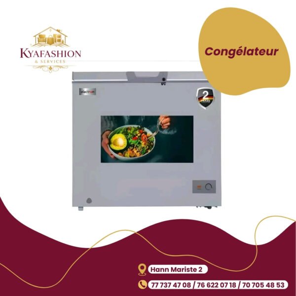 Congelateur vertical gris Electron